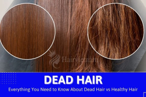 Dead Hair vs Healthy Hair: Everything You Need to Know